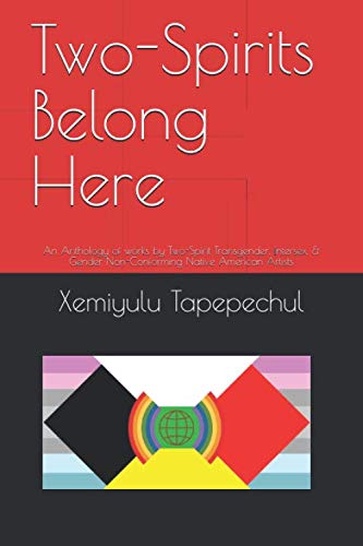 Two-Spirits Belong Here by Xemiyly Tapepechul - the cover has colorful indigenous imagery surrounded by block colors