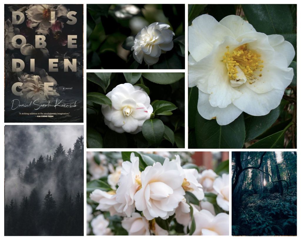 Book Review: Disobedience by Daniel Sarah&nbsp;Karasik