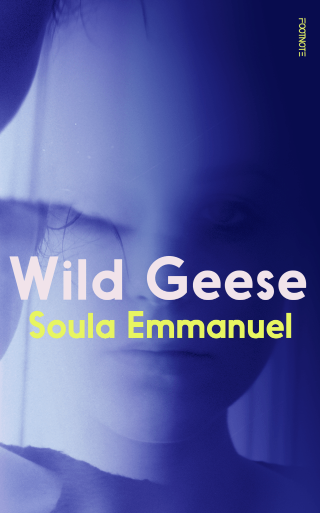 Wild Geese by Soula Emmanuel features a photo of a woman shrouded in blue.